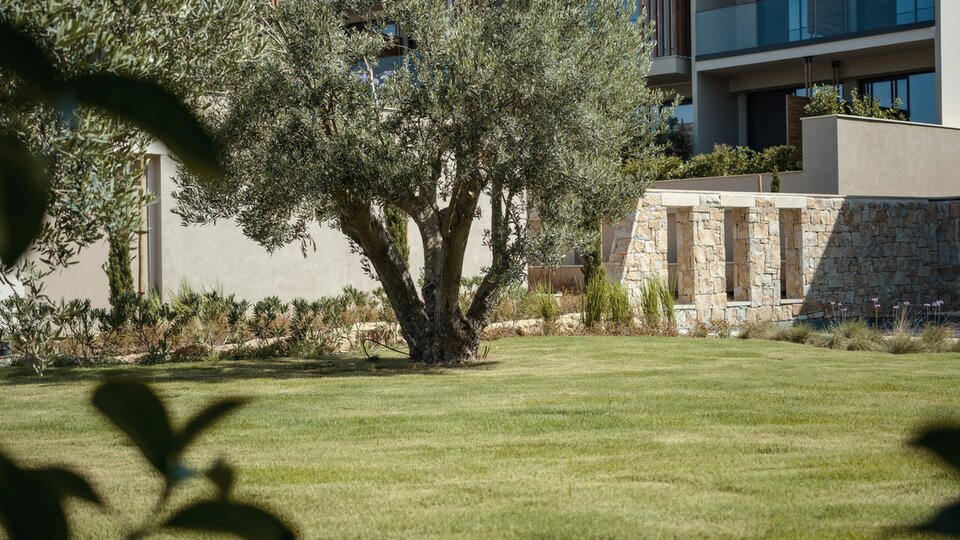 Zelia Resort & Spa by Hyatt
