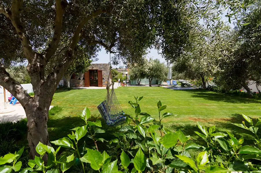 Athena Villas Olive Grove & Estate Crete